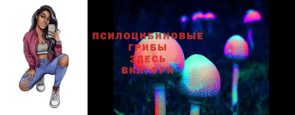 стафф Алексеевка