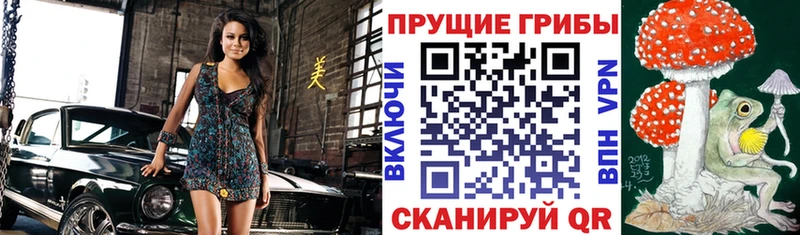 наркота  Ковылкино  Псилоцибиновые грибы Magic Shrooms 
